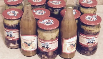 Опора на местное сырье: Гергебильский консервный завод выводит объемы переработки соков и пюре на ре